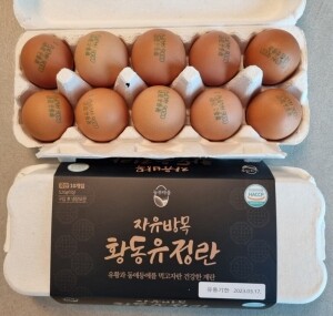 난각번호 1번 자연방사 무항생제 유정란 달걀 계란 20구,30구,40구